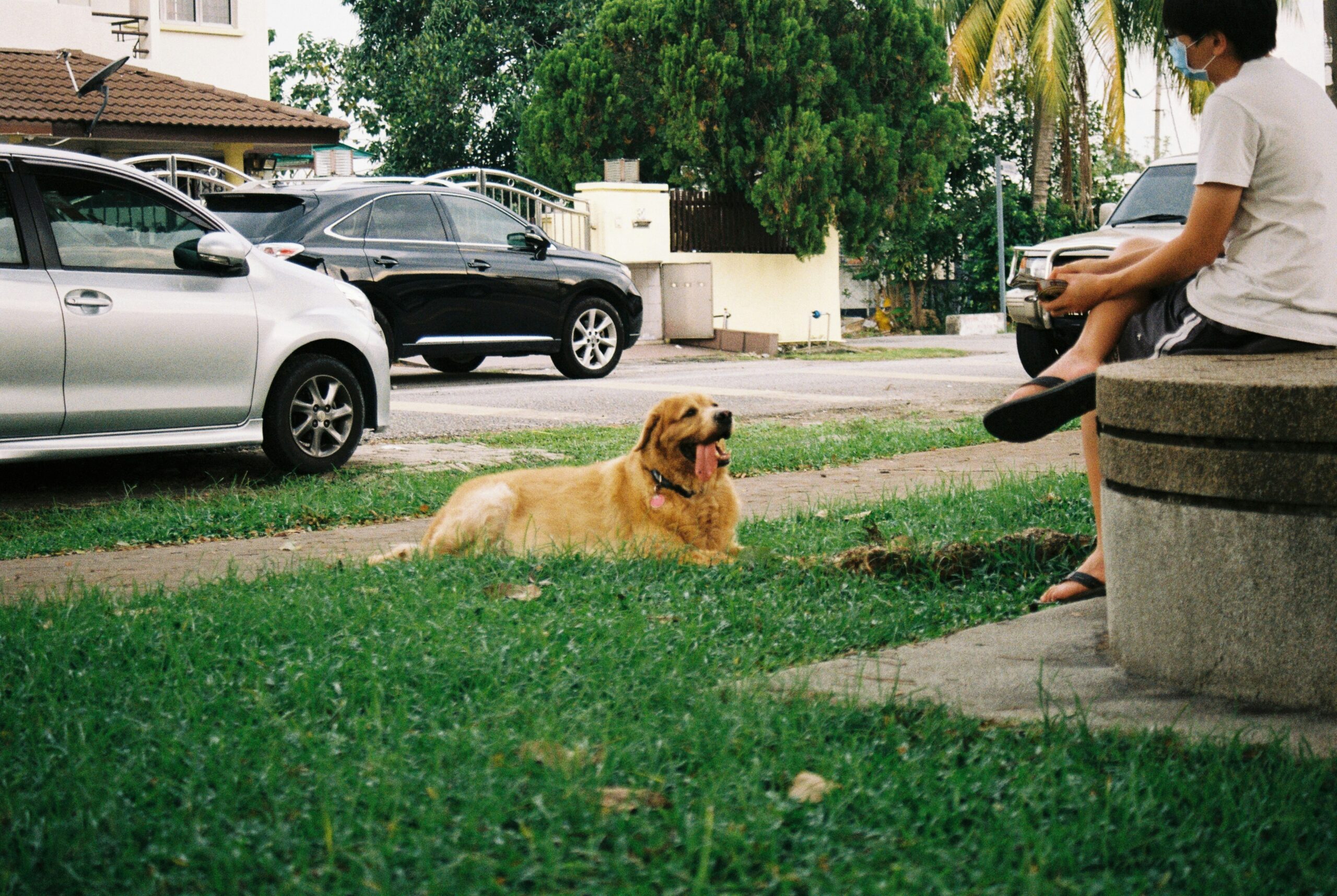 Happy dog sitting obediently next to a proud owner holding a leash.