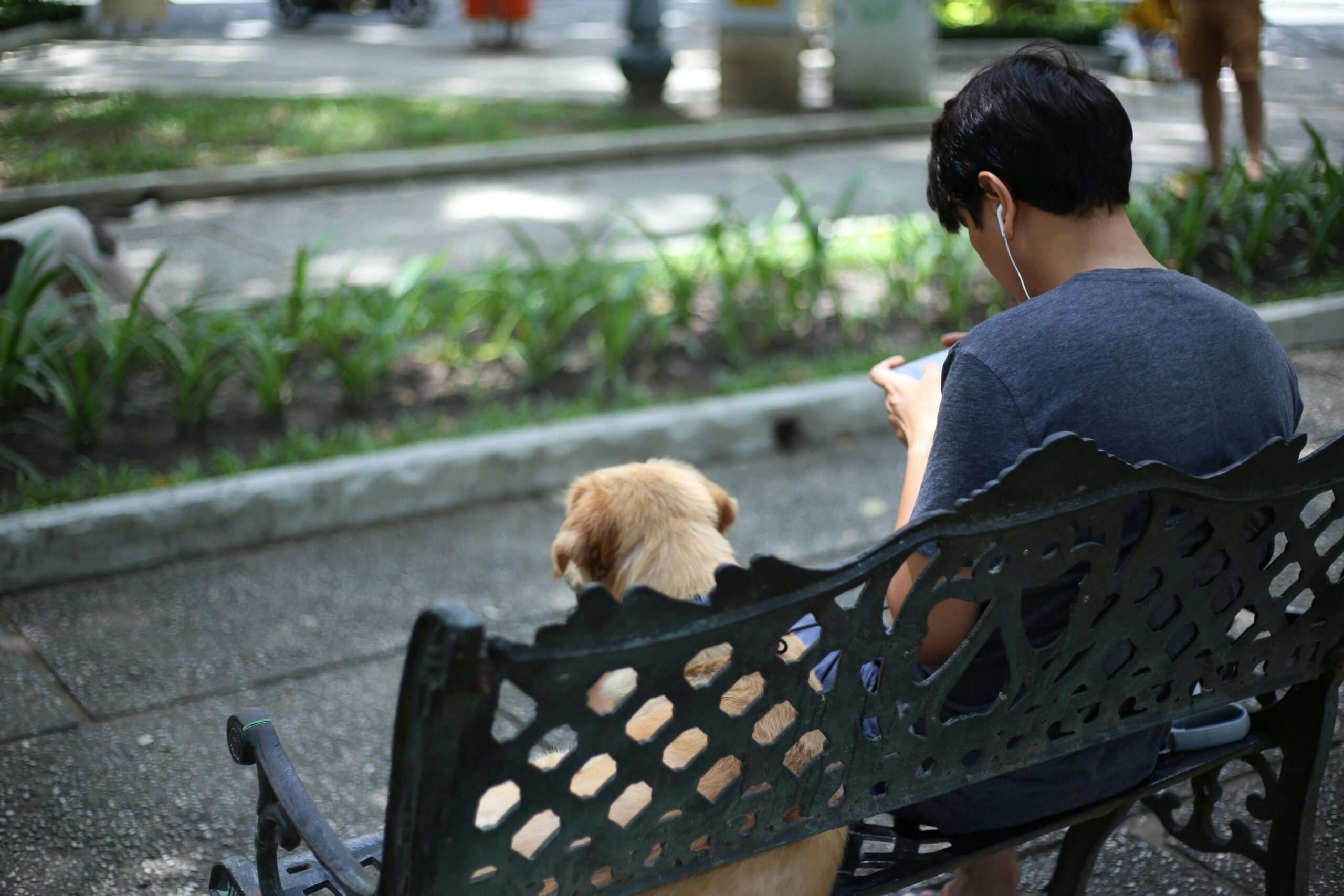 Owner giving a treat to a sitting puppy as part of positive reinforcement.