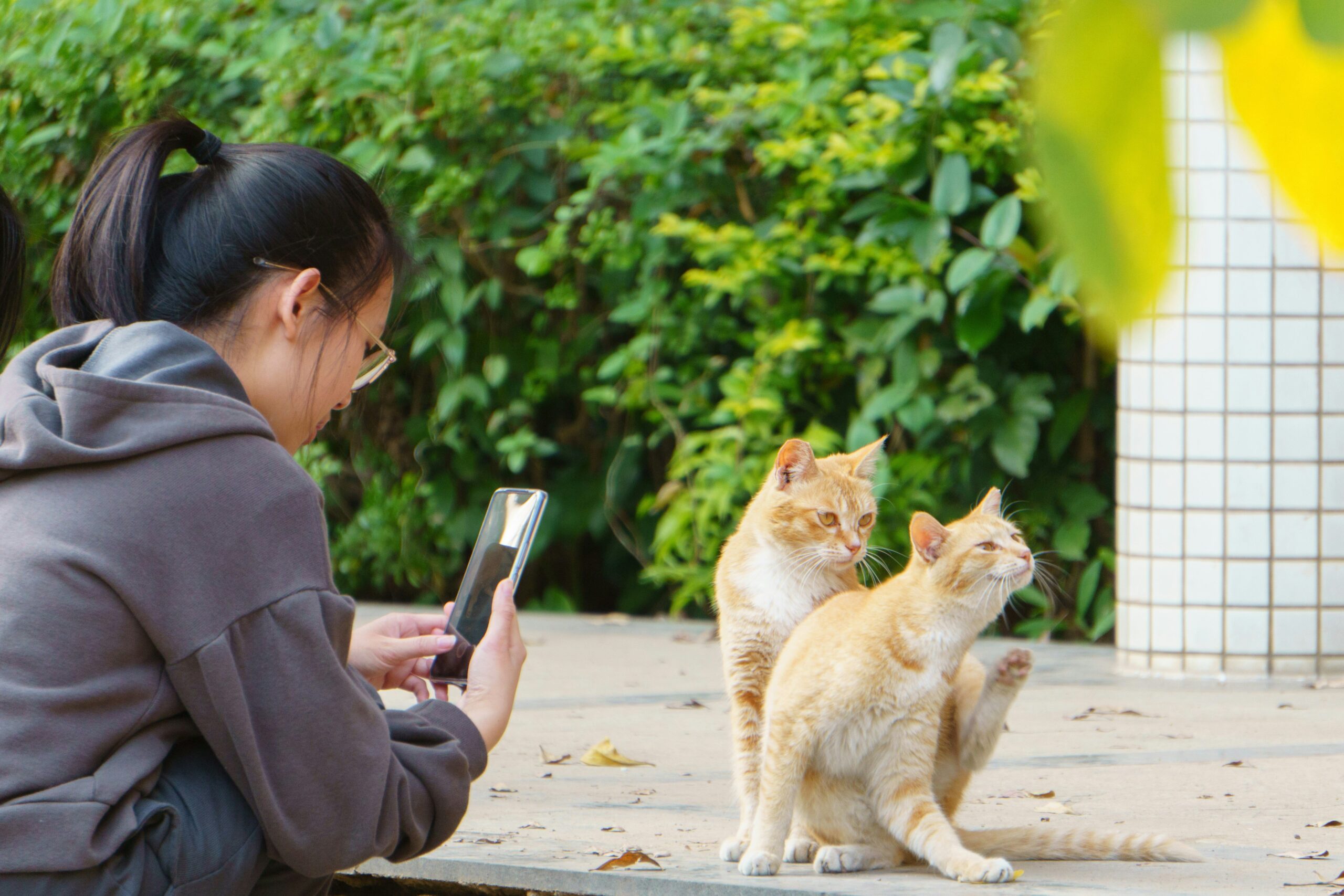A frustrated dog owner holding a leash while their dog looks confused