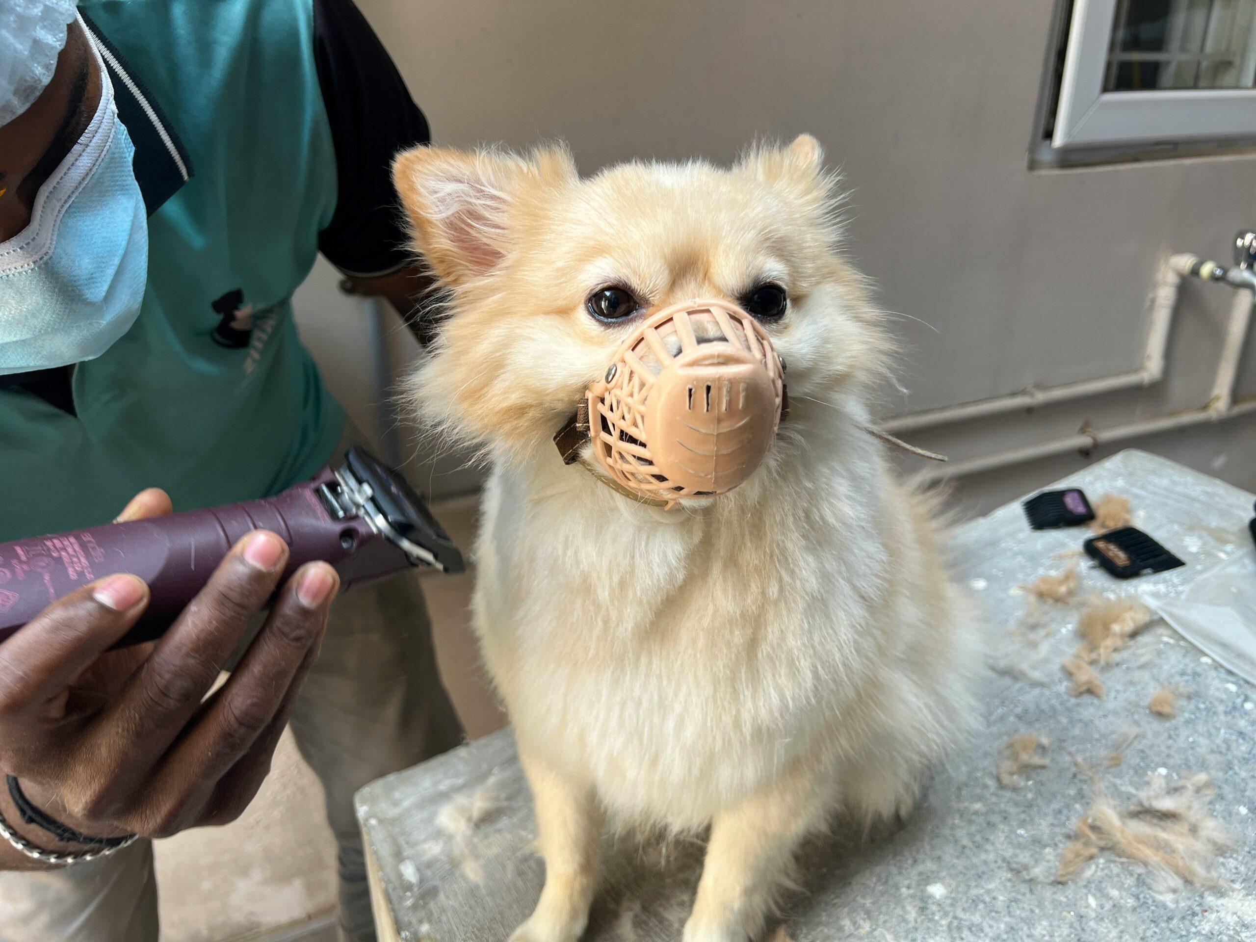 A man taking deep breaths while his dog patiently waits for instructions.