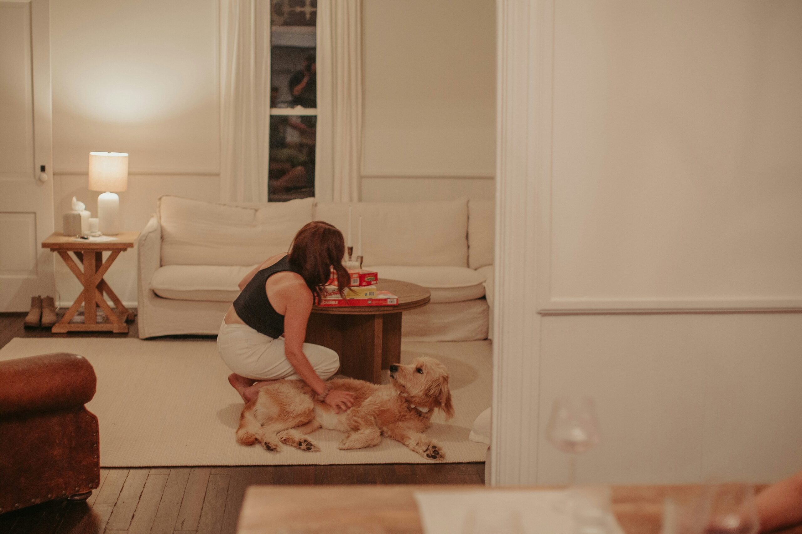 Dog and cat sitting side by side after hearing the sit command