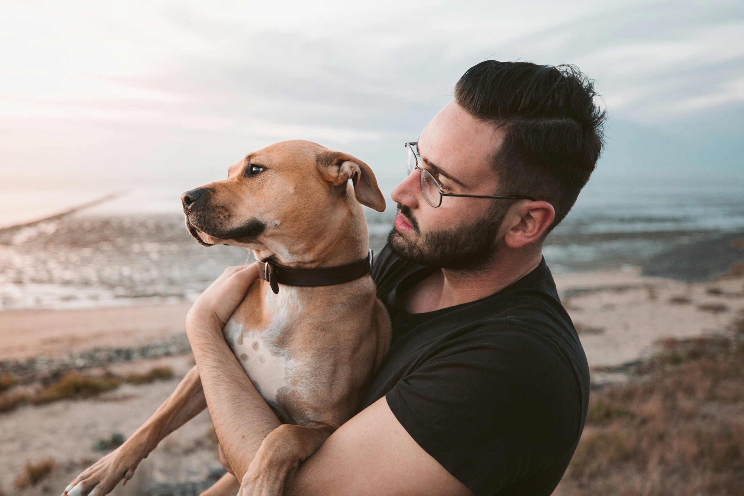 Sit Training Regression Solutions: How to Fix Your Dog's Forgetful Moments