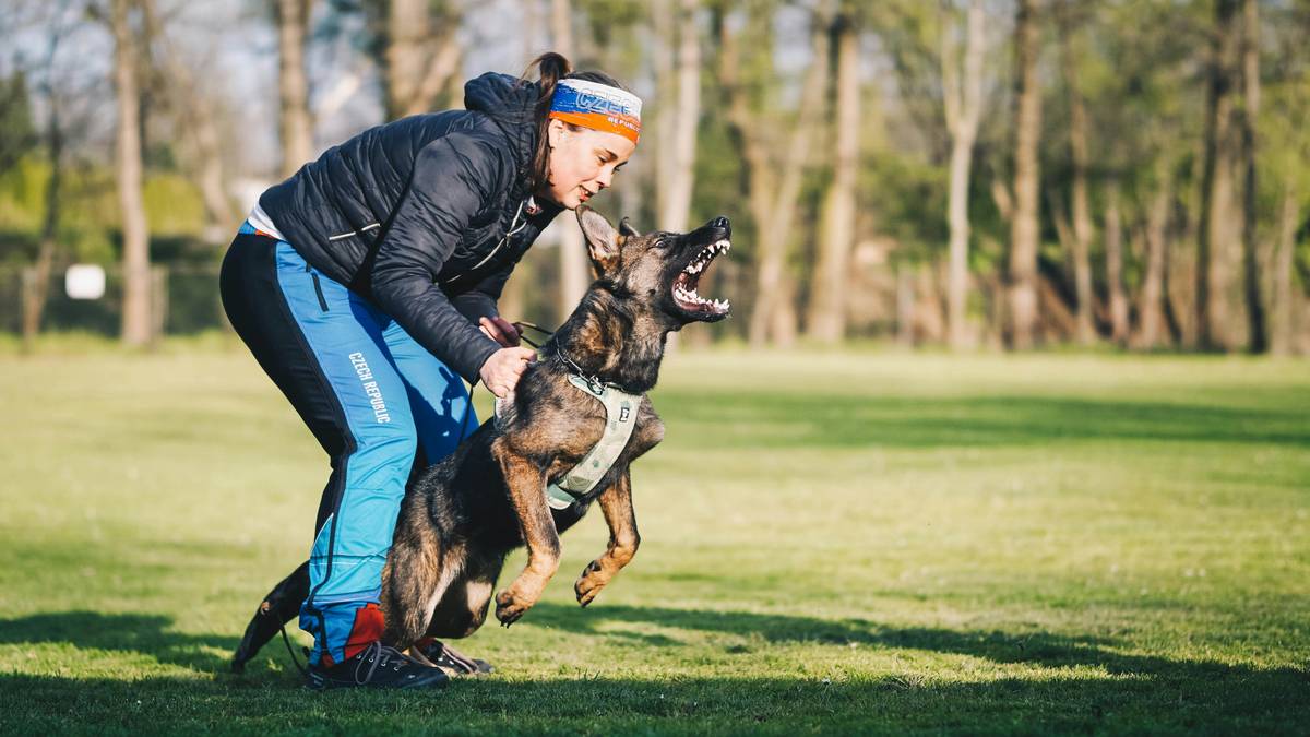 Happy owner celebrating with a well-trained puppy