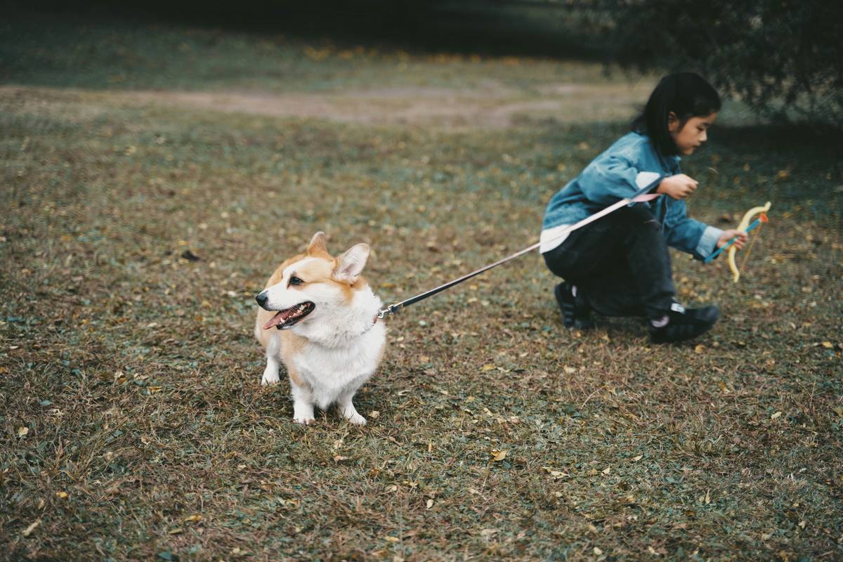 A trainer using a clicker to train a puppy
