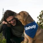 Master the Basic Sit Command: A Foolproof Guide to Pet Training Success