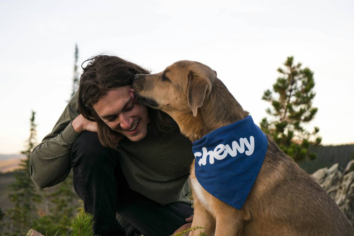Master the Basic Sit Command: A Foolproof Guide to Pet Training Success