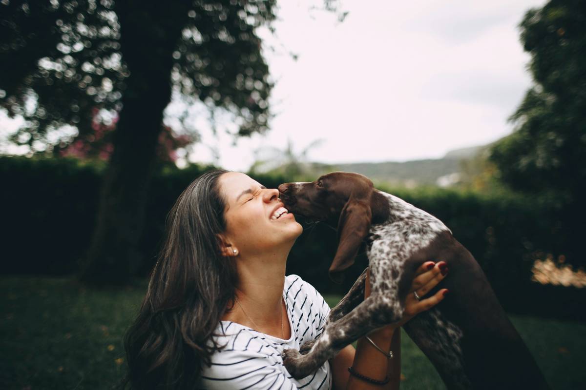 A person holding a clicker device while training their dog to sit.